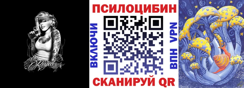 Купить  Лосино-Петровский  Галлюциногенные грибы Psilocybe 
